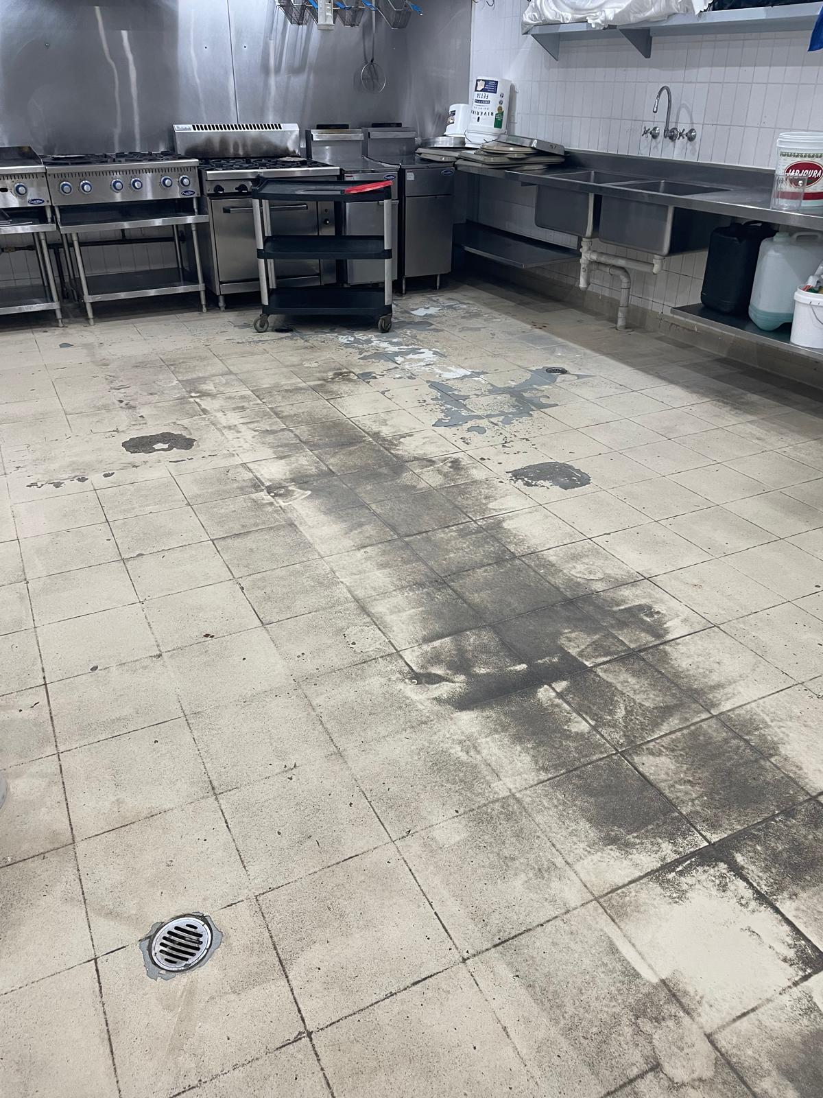 Edessa kitchen before epoxy